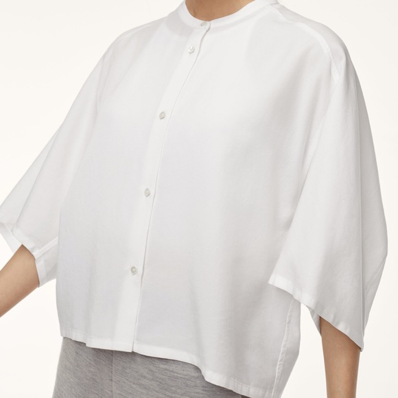 Aritzia Tops - Aritzia: The Group Foster Shirt